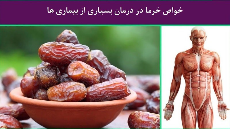 خواص خرما : شگفت انگیز و فراتر از یک شیرینی خوشمزه