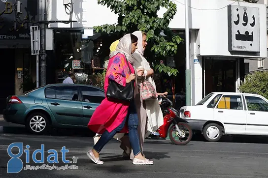 افراد نادان این مقاله را نخوانند. وقتی عصبانیت 35 ساله ترکید