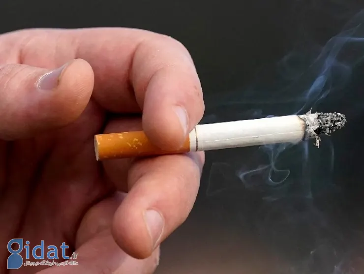 قیمت سیگار ایرانی سر به فلک کشید