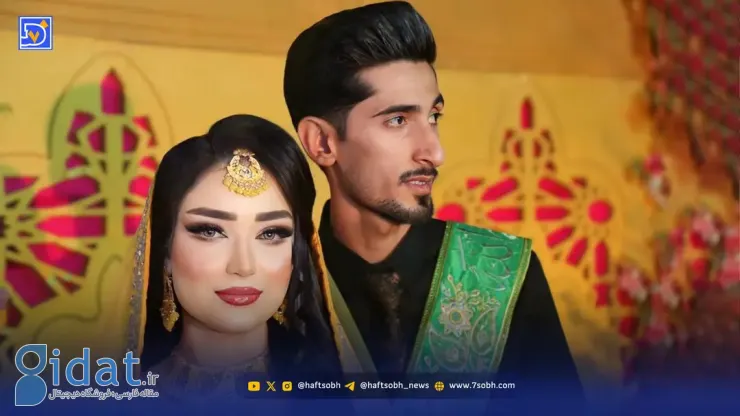 تولد «شلتر» داغ بندر رجایی را تازه کرد