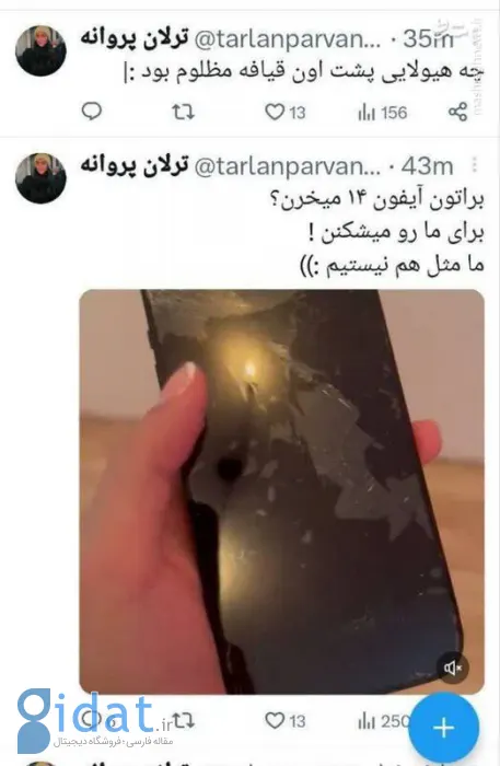 شروین حاجی‌پور متهم به تعرض به ترلان پروانه شد!