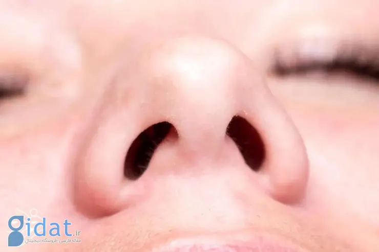 چی میشد اگه فقط یه سوراخ بینی داشتیم؟