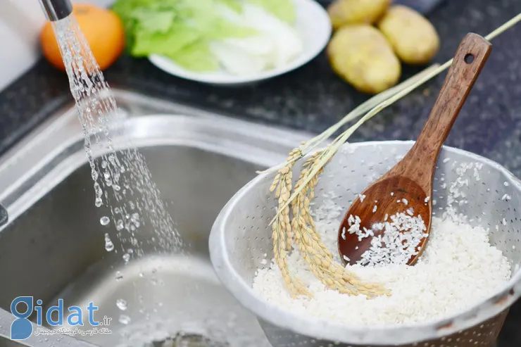 نحوه نگهداری برنج پخته شده در یخچال