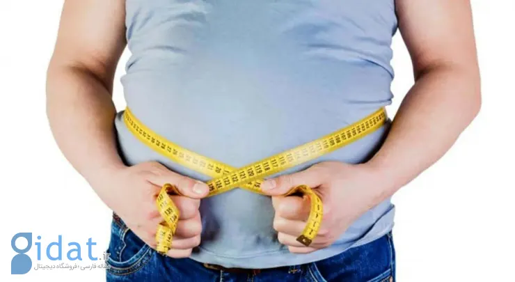 این باکتری جلوی چاقی را می‌گیرد