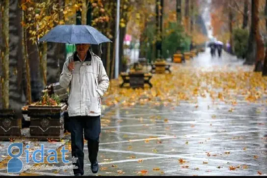 هواشناسی نسبت به سرما و کولاک هشدار داده بود