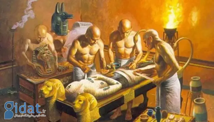 فاش شدن راز مومیایی کردن اجساد در مصر باستان