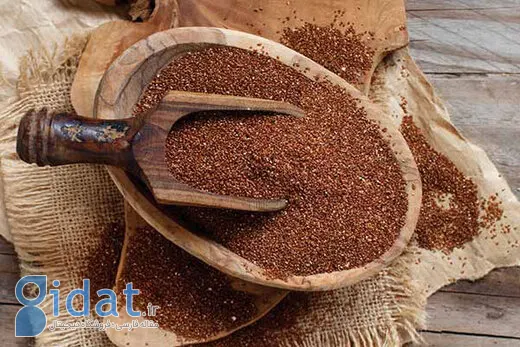 خواص درمانی خاکشیر برای سلامتی