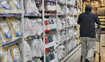 اخبار جدید از ممنوعیت واردات برنج