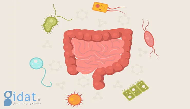 معرفی ۶ ماده غذایی که سلامت روده را تهدید می‌کند