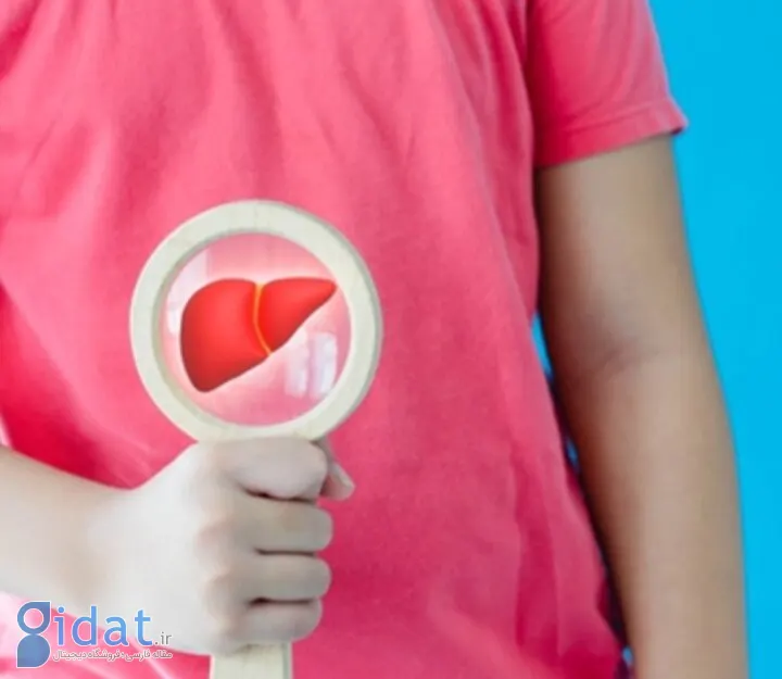 این اشتباه ذهنی کبد شما را چرب‌تر می‌کند