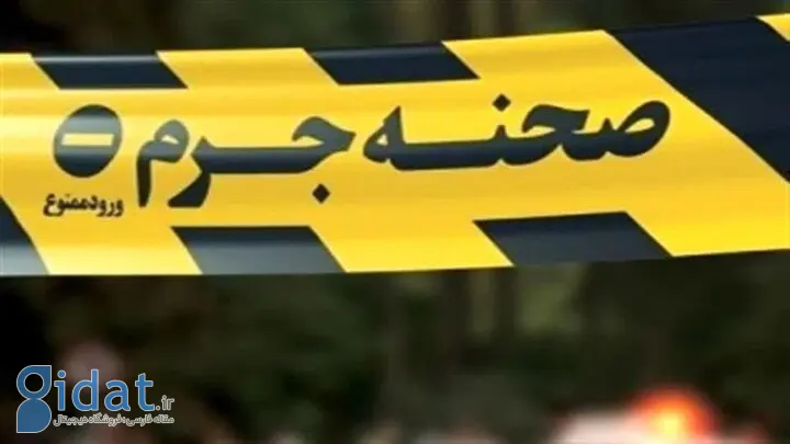 قتل یک وکیل با تصادف عمدی در تهران