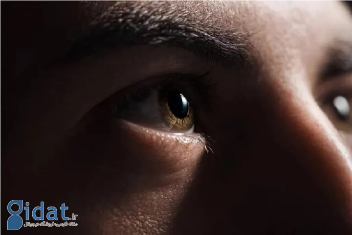 کشف ارتباط عجیب بین پلک زدن و شنیدن!