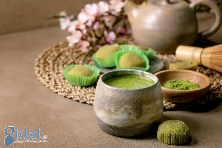 خرید ماچای مرغوب