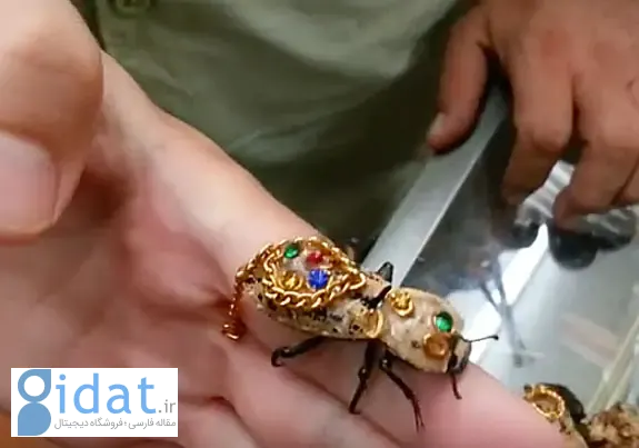 پای یک سوسک زنده به دنیای مد باز شد