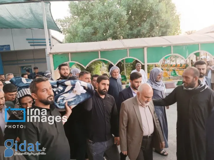 photo_2025-11-12_23-37-51