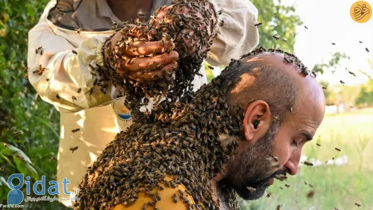 تصاویر مردی با هزاران زنبور عسل روی بدنش!