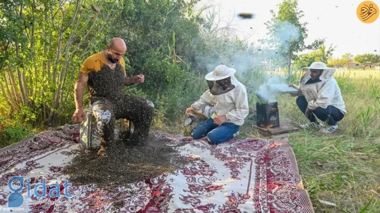 تصاویر مردی با هزاران زنبور عسل روی بدنش!