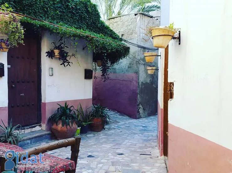 بوشهر