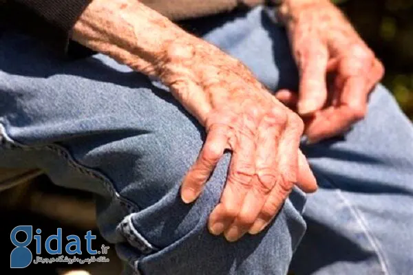 پای مرغ بخوریم یا نه؟