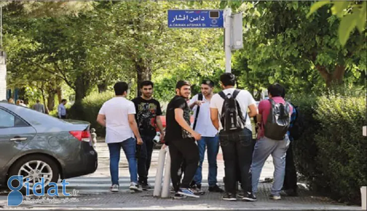 تصمیم جدید دولت در مورد نسل Z خبرساز شد