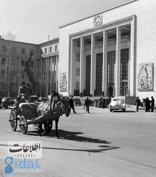 مردی هوسران با دو خواهر و مادرشان ازدواج کرد!