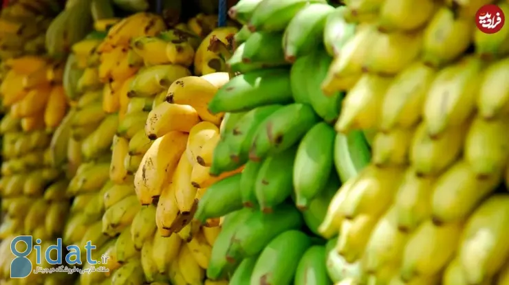 هر آنچه که باید در مورد «رنگ موز» بدانیم