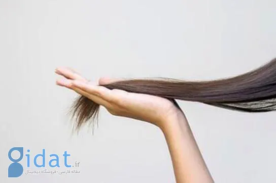 فرمول مخفی ژاپنی‌ها برای رشد مو بالاخره فاش شد