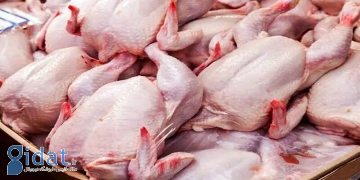 در بازار گوشت مرغ چه خبر است؟