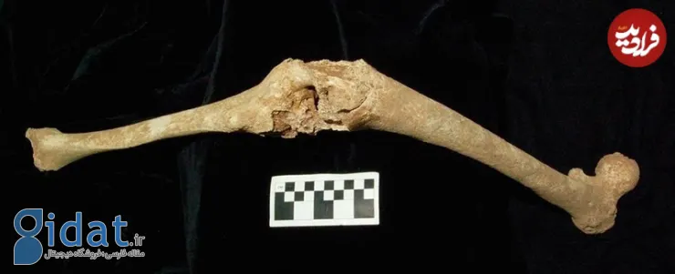 کشف استخوان های پدر اسکندر در یونان