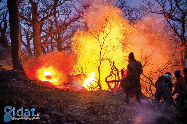آتش‌سوزی جنگل‌های الیت بالاخره مهار شد