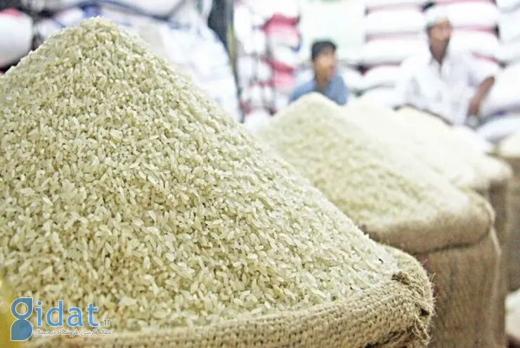 قیمت برنج در آسیا به پایین‌ترین حد خود در یک دهه اخیر رسید