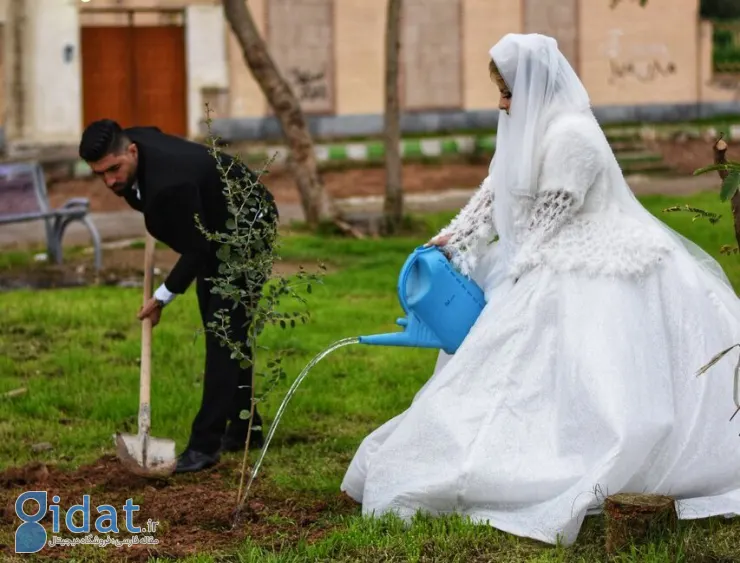 مهریه عجیب عروس ایرانی که همه به سلامت عقلش شک کردند!