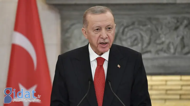 ذوق اردوغان برای ترکی صحبت کردن مسعود بزیکیان