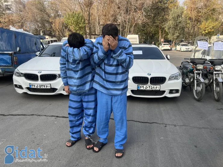 سرقت از خانه های پایتخت با بی ام و میلیاردی