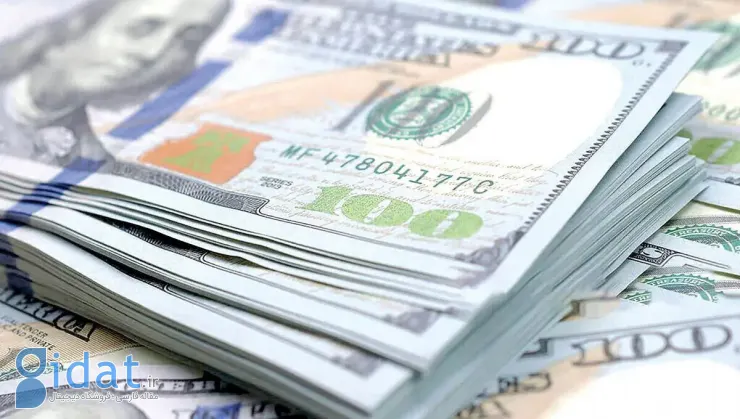 کنایه تند به حامیان دولت درباره دلار ۶۵هزار تومانی