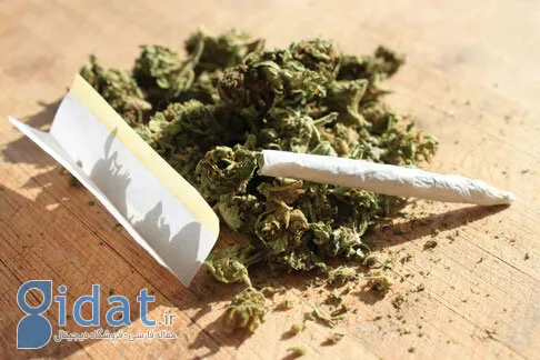 قدرت تخریب ماده اعتیادآور «گل» در ایران