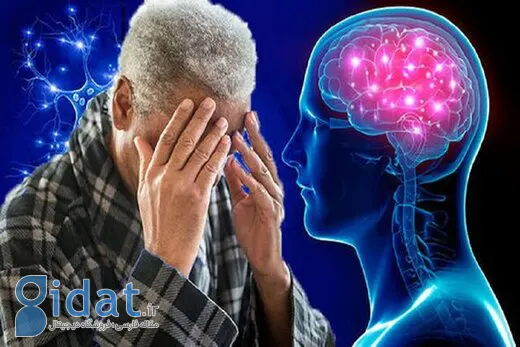 پیشگیری از آلزایمر با 5 ماده غذایی مفید