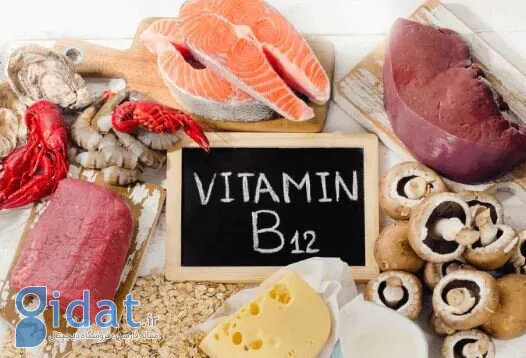 میزان ویتامین B12 مورد نیاز بدن در سنین مختلف چقدر است؟