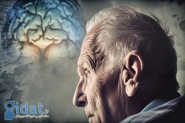 آیا انسان می‌تواند تا ۱۵۰ سال عمر کند؟