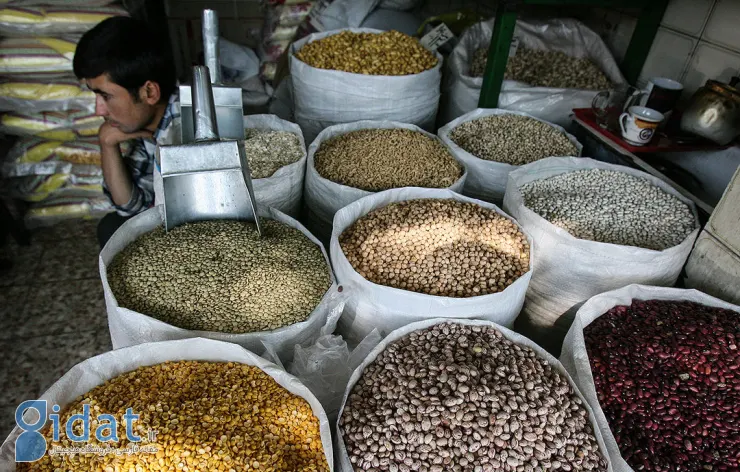 قیمت لوبیا چیتی دوباره سر به فلک کشید!