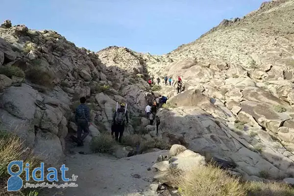 بعد از آن حادثه تلخ، دل سارا خانم پر از خون می شود
