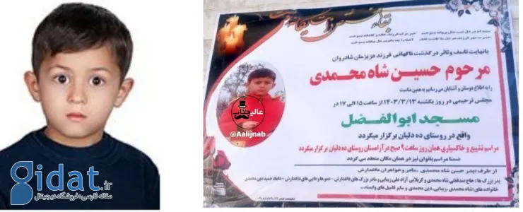 ماجرای مرگ دردناک پسربچه 8ساله در همدان