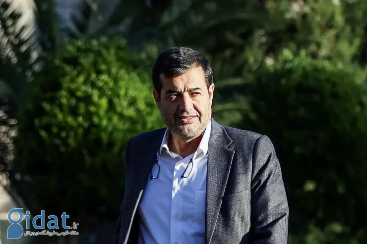وزیر ورزش به اظهارات جنجالی علی دایی پاسخ داد
