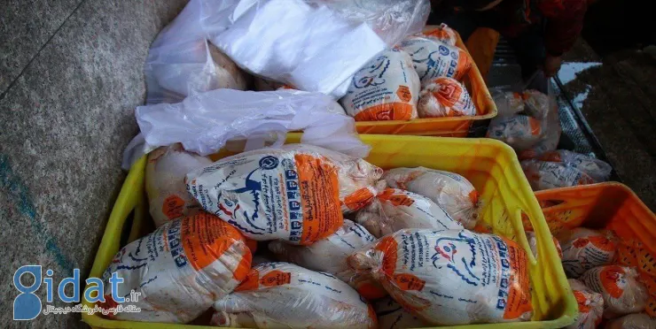 Distributing chicken for more than 90,000 tomans is a violation!