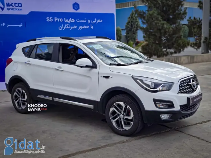 photo_2025-11-11_06-41-09