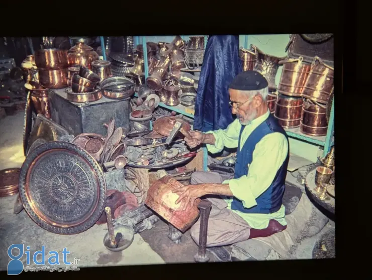 photo_2026-02-16_14-53-50