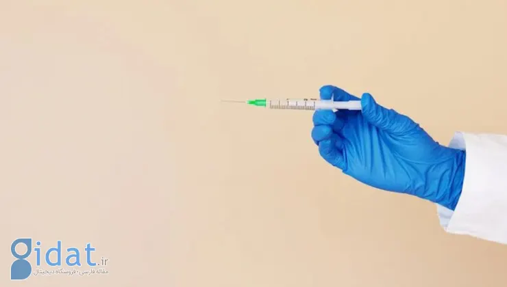 فیلر بیکینی