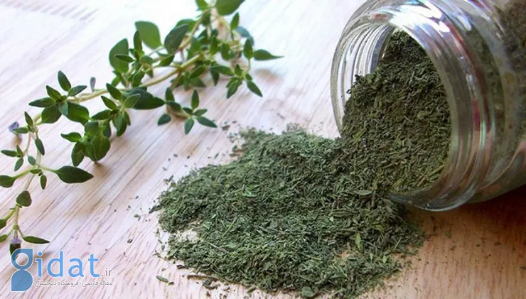 با این گیاه معطر، مصرف نمک را در غذای خود کاهش دهید