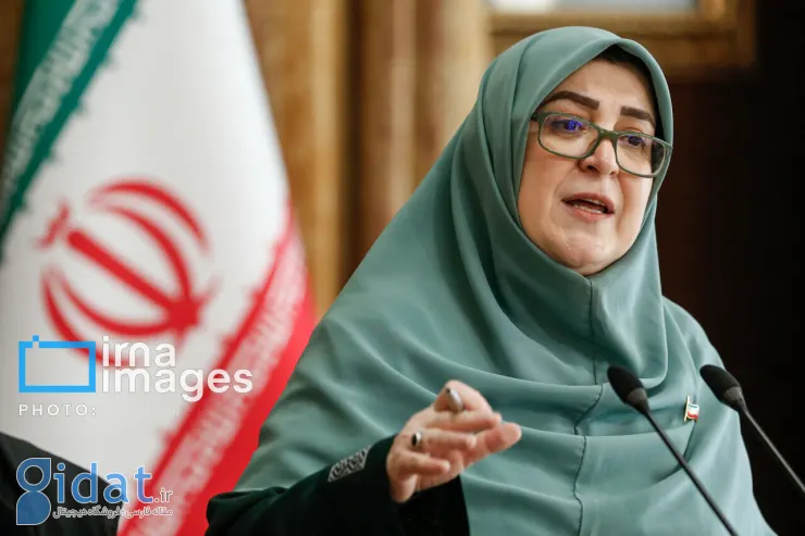سخنگوی دولت در مورد موضوع قیمت بنزین توضیحاتی ارائه داد