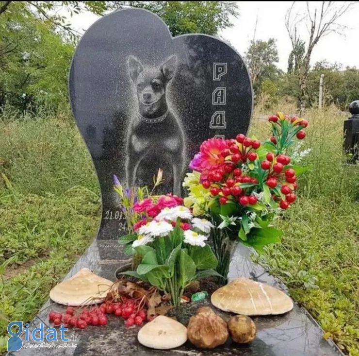 تصویری عجیب از سنگ قبر یک سگ منتشر شد
